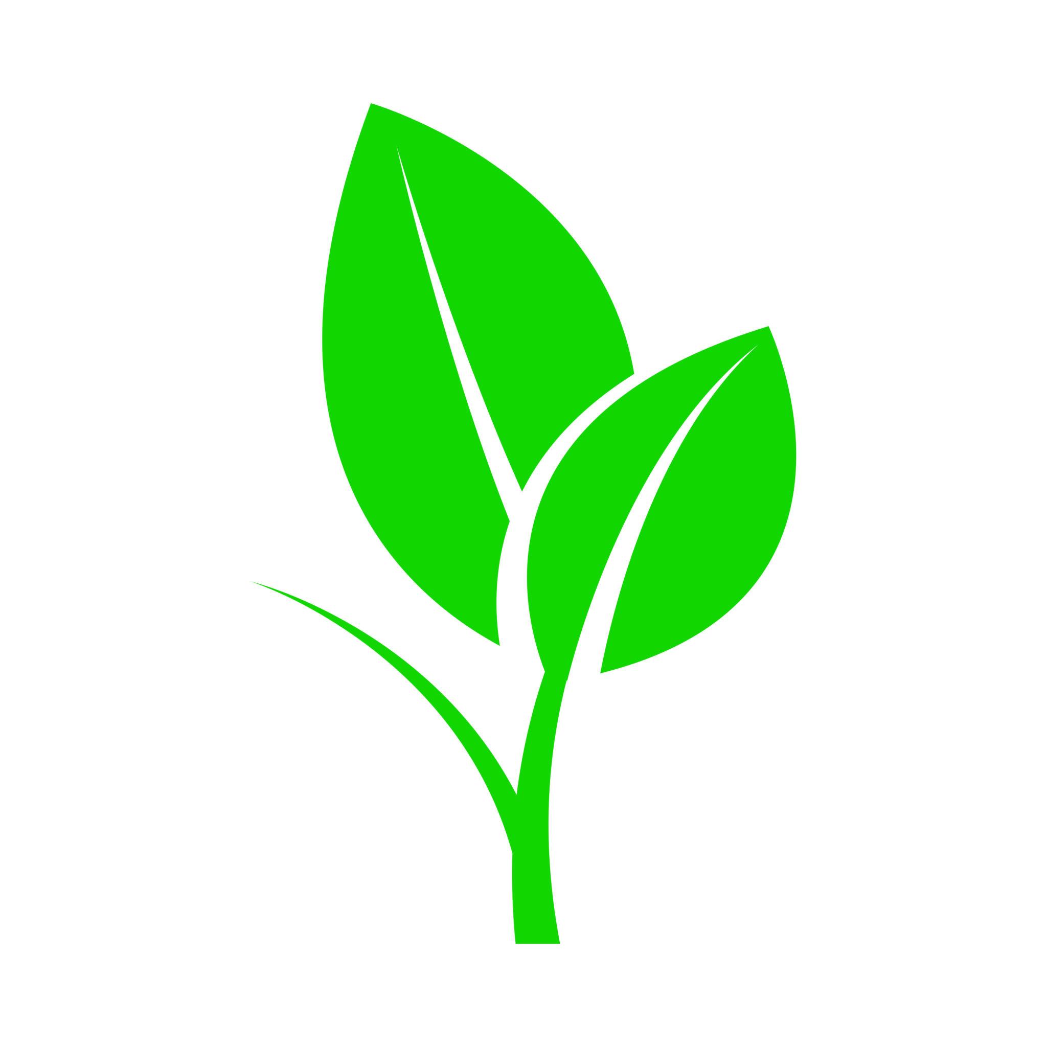 Eco-Friendly Materials
